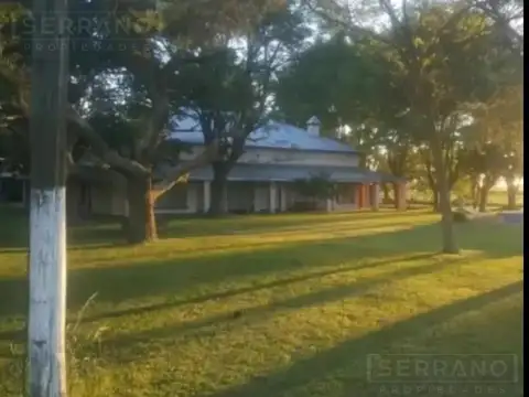 RNE. Venta campo de 15 Has. con casa de 425 m2, casas de encargados, pileta y capilla en Ruta 8 mojón 220,  Pergamino