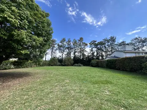 puerto paraiso al 051