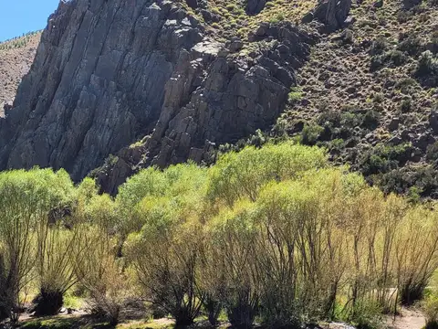 Terreno en Venta de 1000,0 m2