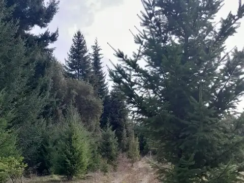 Boulevard Quetrihue 100