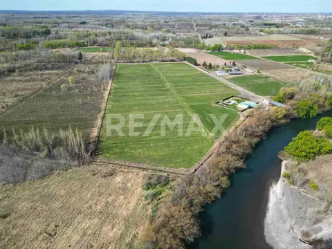 Quinta en Venta en Cipolletti, USD 480.000