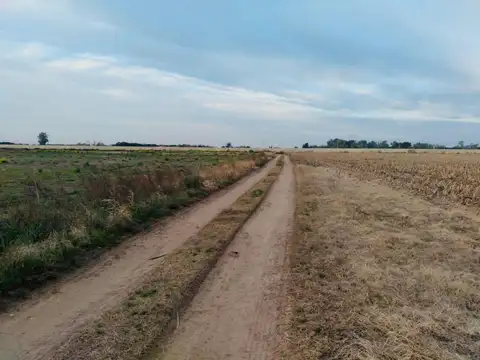 8 hectáreas a la venta en AV Ntra Sra Del Rosario 1105