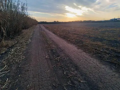 Av Ntra Señora Del Rosario 1105