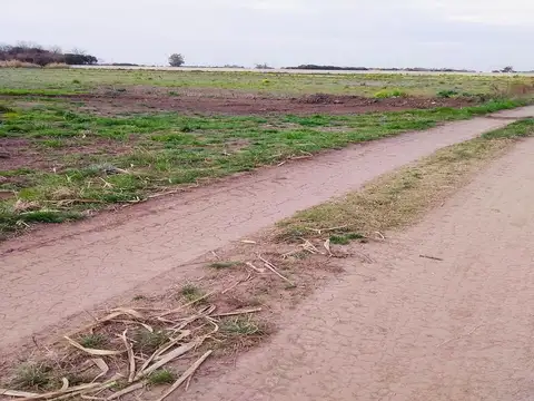 8 hectáreas a la venta en AV Ntra Sra Del Rosario 1105