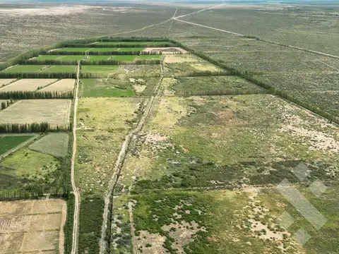 En Venta | Campo en Catriel | 1133 Has | Ruta Provincial 57