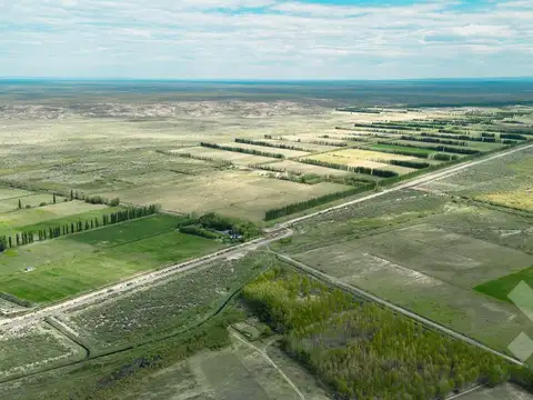 En Venta | Campo en Catriel | 1133 Has | Ruta Provincial 57