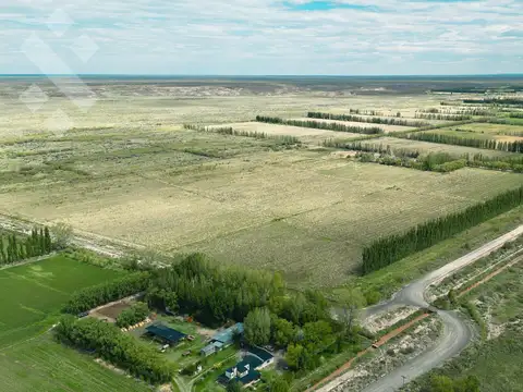 En Venta | Campo en Catriel | 1133 Has | Ruta Provincial 57