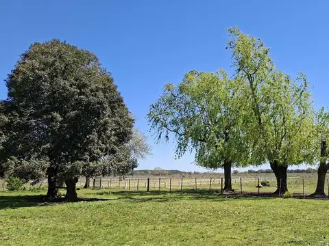 Chacra de 17 ha. con pista de Equitación en Cucullu, San Andrés de Giles