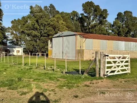 Campo en venta de 809 has en Coronel Dorrego