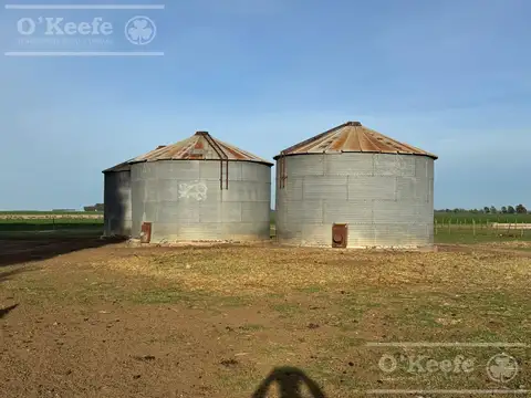 Campo en venta de 809 has en Coronel Dorrego