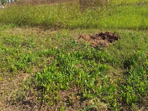 Micro Parque Industrial