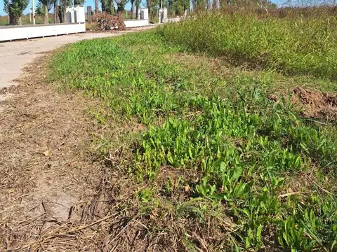 Terreno en Venta de 800,0 m2