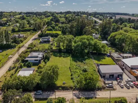 Sra. de la Concepción y Los Avellanos , Piso 0