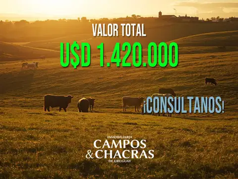 Campo en venta en Paysandú (355 Has )