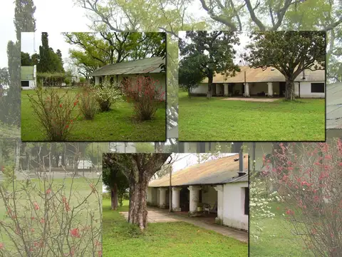 Campo en Venta de 355  ha