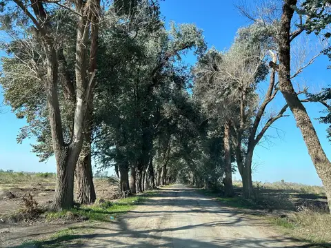 Terreno en Venta de 1500,0 m2