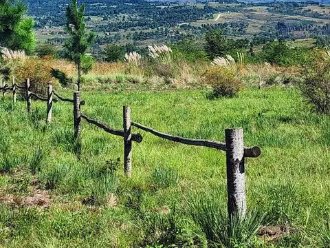 Los Fresnos