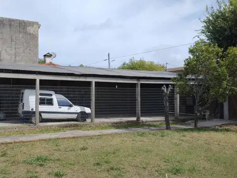 Olmos 100