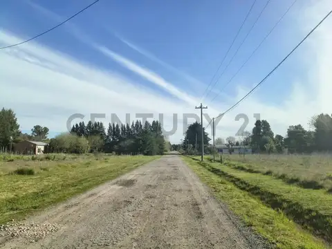 Los Platanos y Las Palmeras