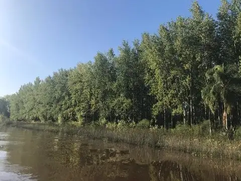 Casa Campo  en Venta en Arroyo Merlo, Gualeguaychu, Entre Ríos