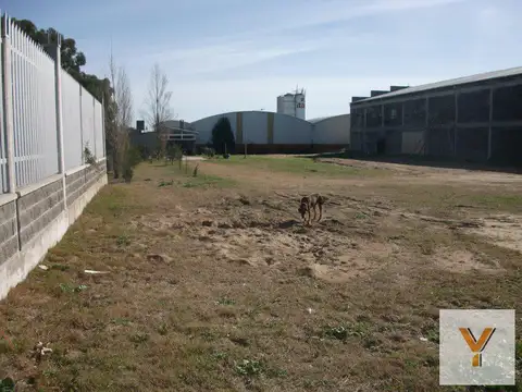 Terreno venta - galpón - casa 2 dormitaros 1 baño - 4326mts2 totales - General Madariaga