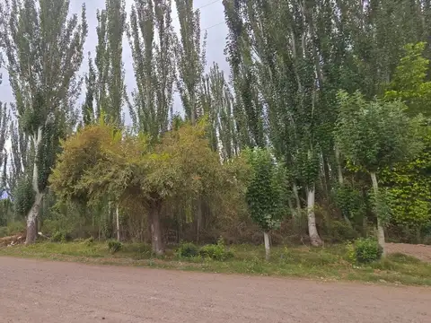 ruta 92 y calle  Pública 7
