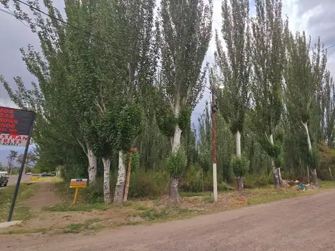 ruta 92 y calle  Pública 7