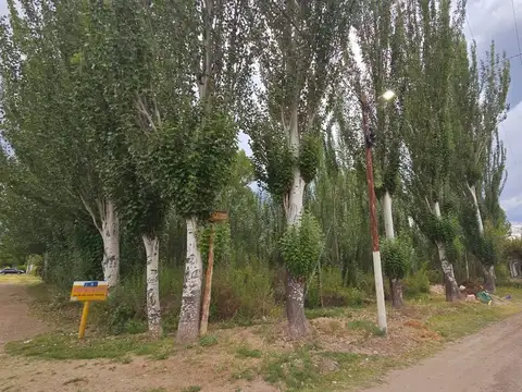 Terreno en Venta en Colonia las Rosas, USD 29.000