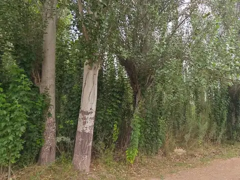 Terreno en Venta en Colonia las Rosas, USD 29.000
