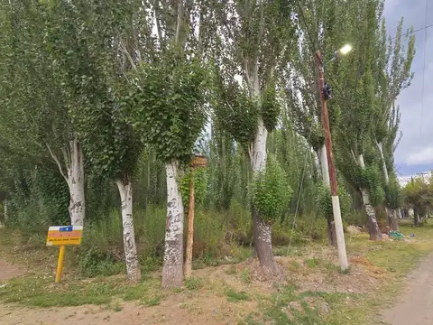 Venta Lote, esquina inmejorable, Colonia las Rosas