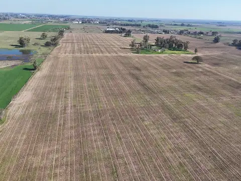 Campo en Venta Agrícola