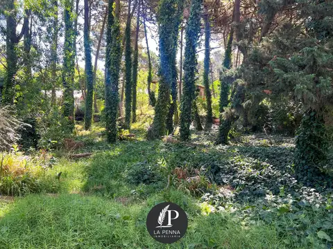 Terreno en Venta 41  mts Fondo