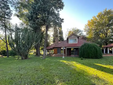El talero al 2600
