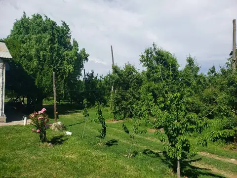 5 Esquinas, Cipolletti