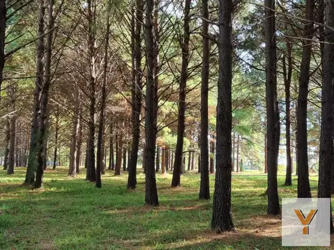 Terreno en Venta de 1878,0 m2