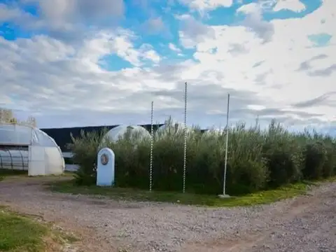 Terreno en Venta en Cruz De Piedra, USD 305.000