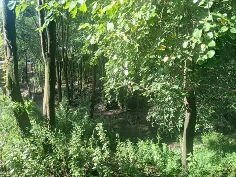 TERRENO EN RIO CEBALLOS