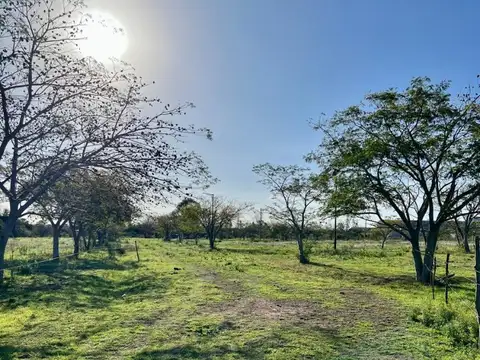 TERRENOS BARRIO "LOS MOLLES" DOS DE 1000M2 C/U - VENTA - BARADERO (ZONA DE LAS BARRANCAS)