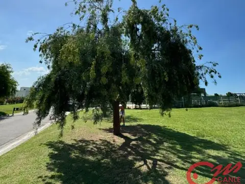 Lote en venta san sebastian area 1