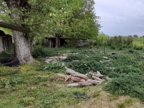 VENTA CHACRA 31.730 m2 GRAL. ROD. R. 24 KM 7.5