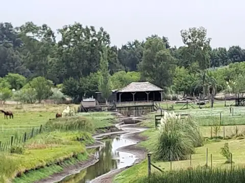 Casa Quinta con arroyo privado, vista laguna Lobos