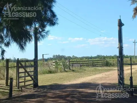 Chacra - Lapataia - 4 dormitorios - piscina- casa caseros - impecable