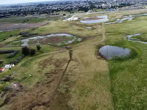 CHACRA VENTA 86 HECTAREAS GENERAL MADARIAGA