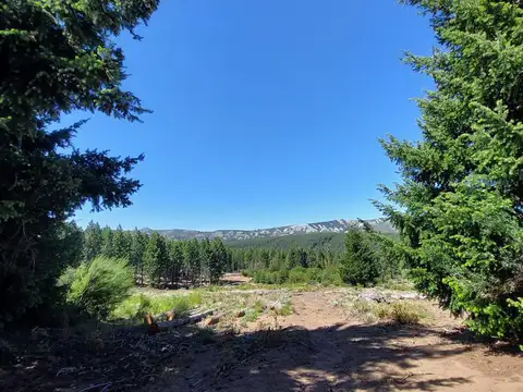 Campo 312 has - Arroyo del Medio, Bariloche, Rio Negro