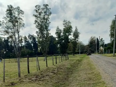 De La Tropilla