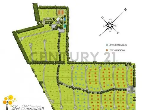 Terreno en Venta en Los Naranjos, USD 80.000
