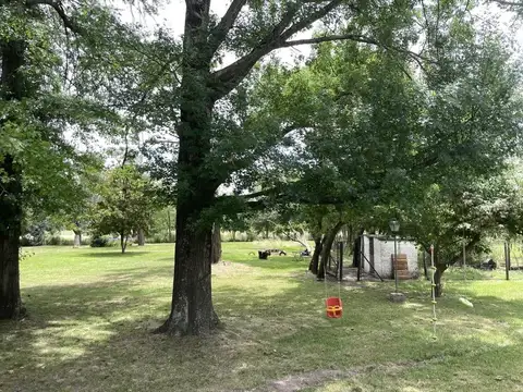 Chacra en Venta en Zelaya, Pilar, Zona Norte - 5 Ambientes