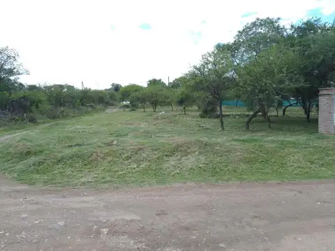 cordoba 100