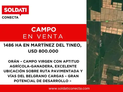 Campo en Desarrollo - 1486 ha - Oran - salta