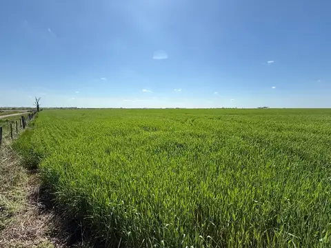 CAMPO 23HA EN LUIS PALACIOS